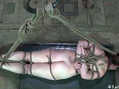 This chubby pig gets tied up like a slut in ropes and has her ass violated by a whip. She is hit so hard her entire ass is burning red. Watch as she has a stun gun taken to her cunt in this painful sex film.