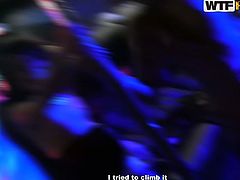 Drunk and horny strip dancers throw a wild group sex party right in the night club. Spoiled chic tongue fuck each other's pussies before they dance in seductive way on a dance floor.