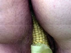 in the corn field