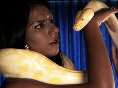 Her body is like a chocolate. Sexy brunette from India is a hot babe who has gutts to play and tame a yellow python all naked.