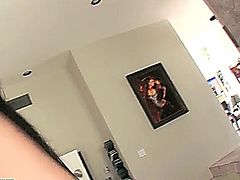 Aletta Ocean_480p interracial anal