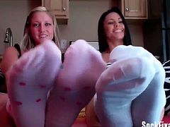 These babes sweat all day in their socks and they become nasty and smelly. You must sniff them all.