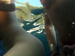 Crazy underwater game involved pornstars like Adrianna Nicole, Cherry Torn, Christian XXX, Danni Daniels, Eva Lin, Foxxy, Kimber James, Mandy Mitchell, Morgan Bailey and Tameka.