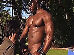 Muscular Black Guy Fuck