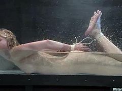 This busty and booty blond siren is being treated like trash! Honey gets hogtied and then her master throws her in the immersion tank!