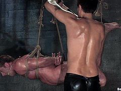 A big packed gay guy is going to be dominated in a BDSM video with bondage, sex, cock sucking and more wild action.