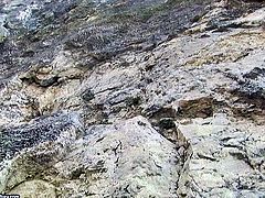 This steamy 21 Sextury xxx clip is surely worth checking out. Spoiled busty and booty brunette mature slut meets a tourist in the moutains. She sucks his dick and gives a titfuck right on the grass.