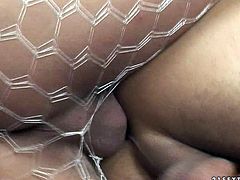 Cheesecake Latin shemale in tempting white fishnet pantyhose clings to massive cock of a horny dude to give him a blowjob before she anal fucks him in doggy style.