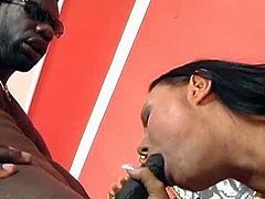 Lusty dark haired bitch with nice tits struggles with long black python sucking it like a pro hooker. She bends over and gets her cunt devastated by that BBC doggystyle.