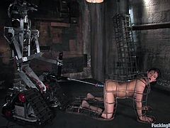 Sexy Tori Lane gets toyed by a machine in bondage video