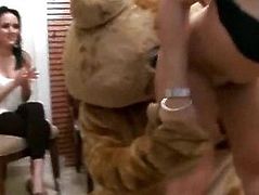 The Bear in the House on Dancingcock