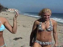 Three sexy blondes, who love surfing and are so high about each other's pussies, are having some lesbian fun! They live together and do it so often!
