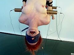 Nasty redhead chick gets hog tied and suspended by Bobbi Starr. Later on Justine licks mistress' pussy and gets stimulated with electricity.