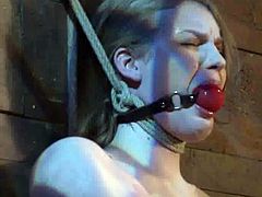 Blonde girl with curvaceous body gets gagged and tied up. Someone toys her tight pussy with big dildo and then whips her boobs with a stick.