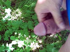 ejac dans la nature 3