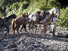 This guy is happy to treat these beauties good. He set up a barbecue and table near a river. Well now, all that looks great, the spices are ready for the barbecue and hopefully this will spice up our girls! Stay tuned, see the beautiful landscape and our very beautiful chicks as they continue their trip.