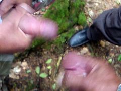 Geil im Wald