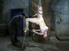 Curvaceous chick gets hog tied and suspended. Later on the master drills her vagina with a big dildo.