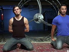 Van Darkholme and Gianni Luca get tied up by their master. They also suck a dick and get pinched with claws. After that they also get their penises tortured.