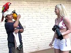 Alison Angel has a vacation in Hawaii. She plays with parrots there. Of course she is in the bikini all the time because it is very hot there. She also fondles her pussy through the shorts.