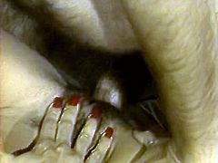 Insatiable small Tatas lascivious big assed hootchie gets her impossibly hairy kitty mish and reverse cowgirl pose hammered. Take a look at this curly haired babe in The Classic Porn sex clip!
