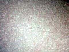 morning sex with boyfriend