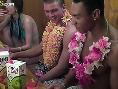 Amateur Hawaiian college party with Angel, Cofi, Dulsineya, Tanata and Yuki