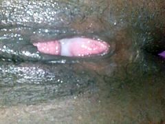 Ebony BBW Creampie