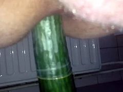 Cucumber ass fucking