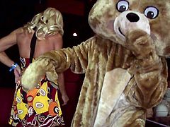 Here's another tale of the Dancing Bear! It's a bachelorette party and these girls gone wild! The sight of the muscled male stripper made them drool for cock so the guy gives them a taste of it. The women take turns in sucking his dick but only one will be lucky enough to end up with a mouthful of Bear juice!