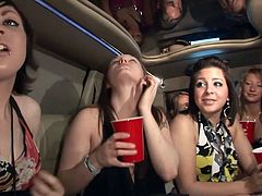 Have fun jerking off to this hot scene where these horny ladies have a great time inside a limousine as they show off their sexy bodies.