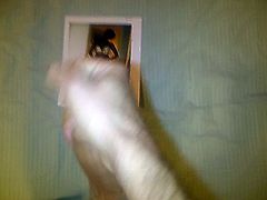 Tribute for Jamieelouise