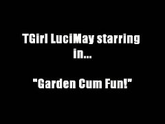 Chubby transsexual Lucimay goes wild and kinky on this one as she goes out in the secure garden with only stockings and started jerking her shecock to orgasm