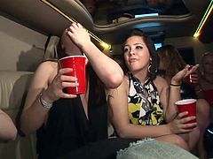 This drunk babes get a little too wild in the limo and start flashing their big juicy boobs and their yummy round asses.