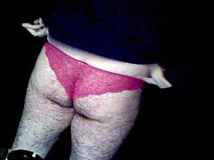 Bear in lace panties