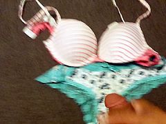 cum on NOT my cousins bra and panties