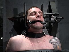 gay slave has his asshole electrocuted