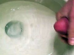 Toilettenwichs