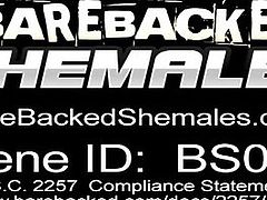 Hot Ass Bareback Fucking With Shemale