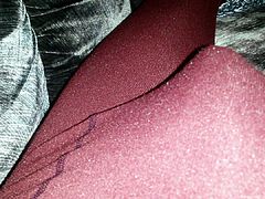 bulge in tights