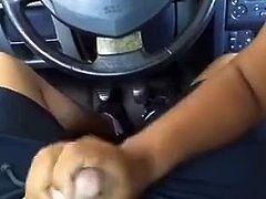 interracial amateur oral sex in the car