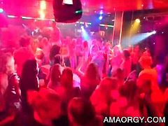 Party bitch tit fucks stripper's shaft at an orgy