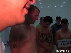 Wet gay freshers rubbing their dicks in the shower