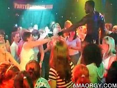 Sex party amateurs dancing with muscled black orgy stripper