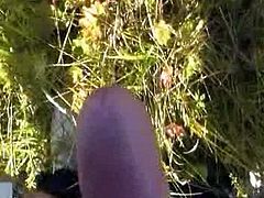 Jerking my cock and cum on outdoor