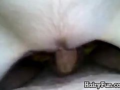 Hairy Teens Pussy Close Up