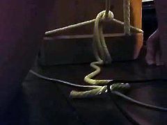 Testicle dragging dresser