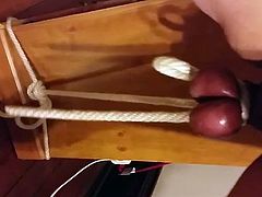 Testicle weight lifting