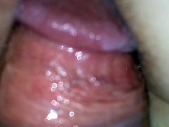 Wet gf pussy