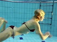 Cute bikini chick goes for a sexy swim
